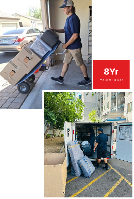 professional movers near me