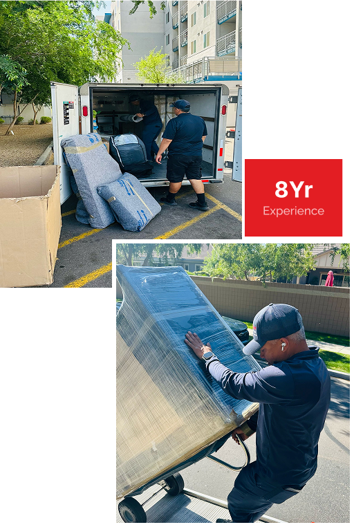 professional movers near me